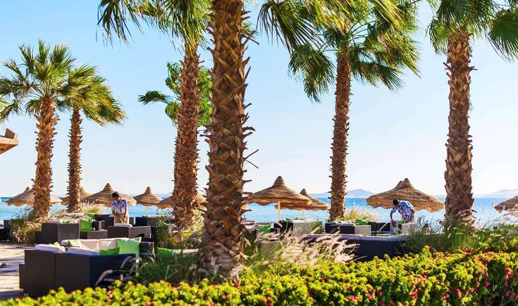 Baron Resort Sharm El Sheikh Natur foto