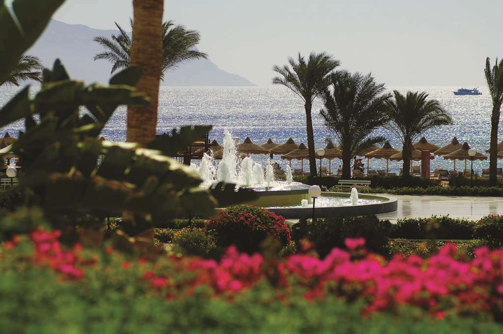 Baron Resort Sharm El Sheikh Restaurant foto